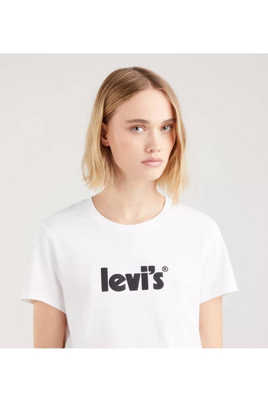 Camiseta Levi's The Perfect Tee Seasonal 17369-1755