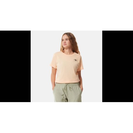 Camiseta The North Face SIMPLE DOME NF0A4T1A3R81