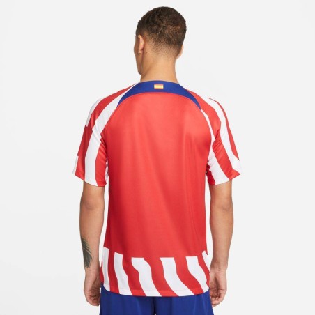 Camiseta Nike Atlético Madrid 2022/2023 - DM1838-101
