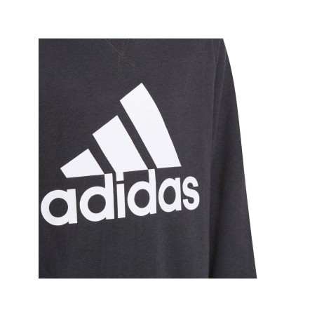 Sudadera Adidas Essentials Logo GN4029