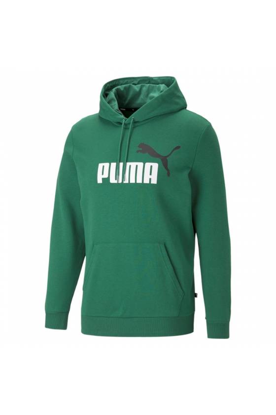 Sudadera Puma Essential + 2 Col Big Logo 586765-37
