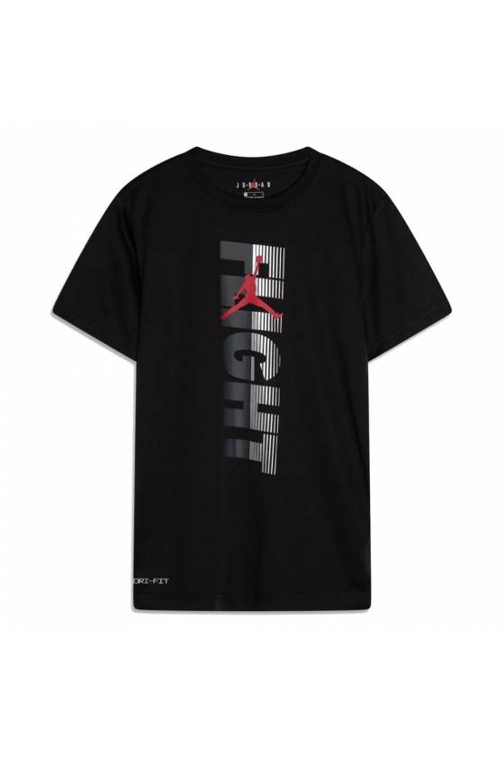 Camiseta Nike Jordan Static Flight Dri-Fit 95C256-023